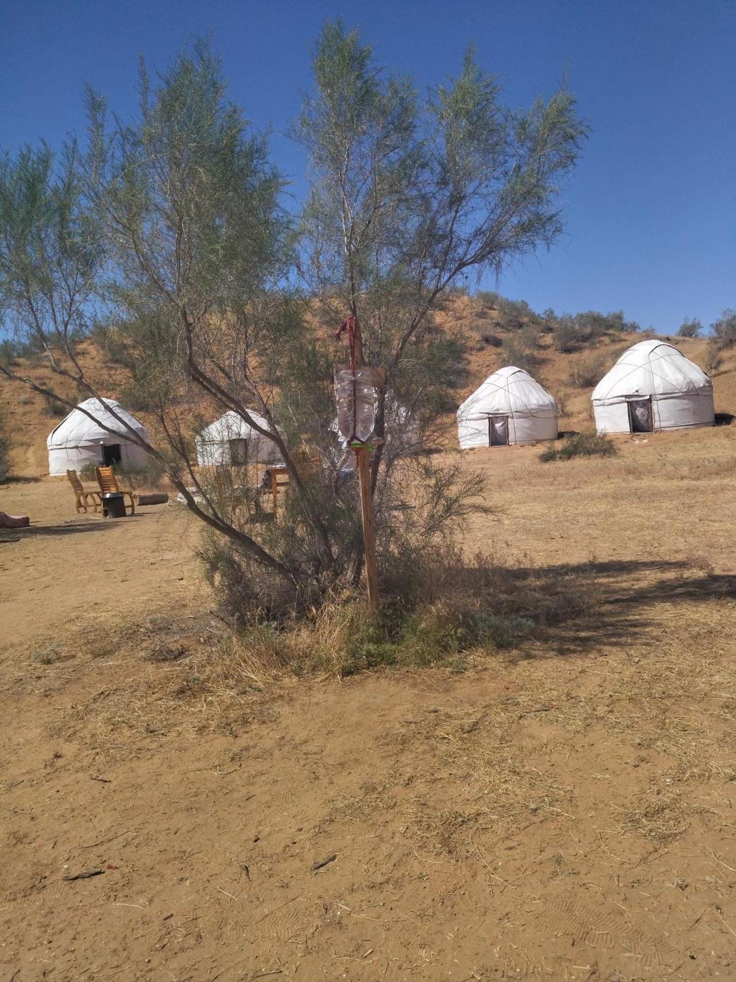 Authentic Uzbek Yurt Camp Eco-Friendly Hotel Nurota Exterior photo